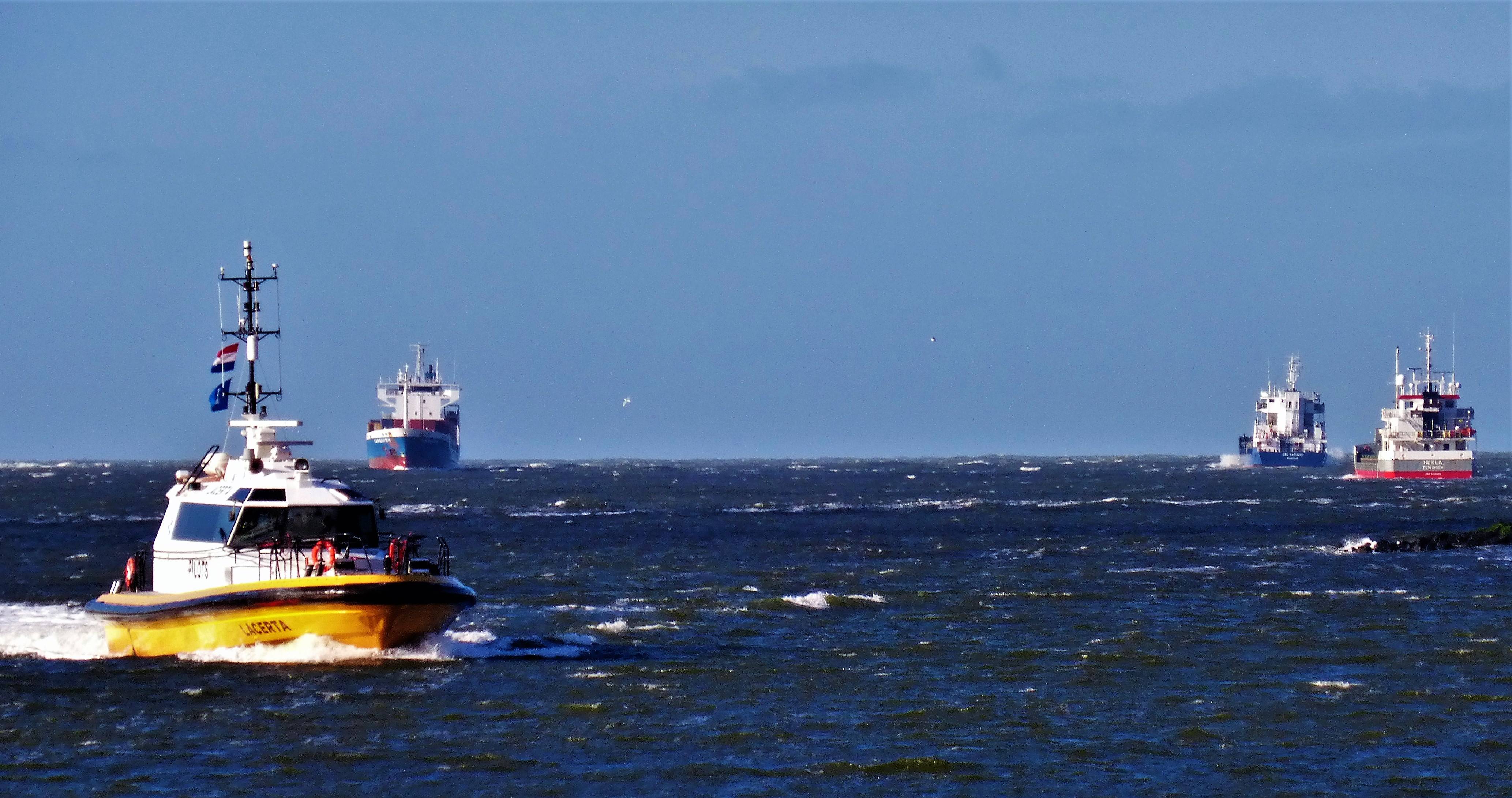 Pieren IJmuiden   07-02-22 